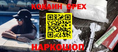 мет Камышлов