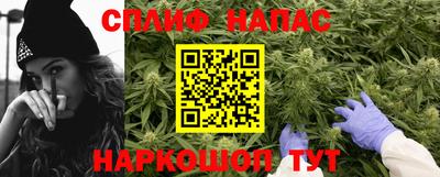 гидра Кандалакша